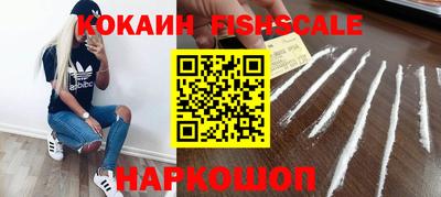 дмт Гатчина