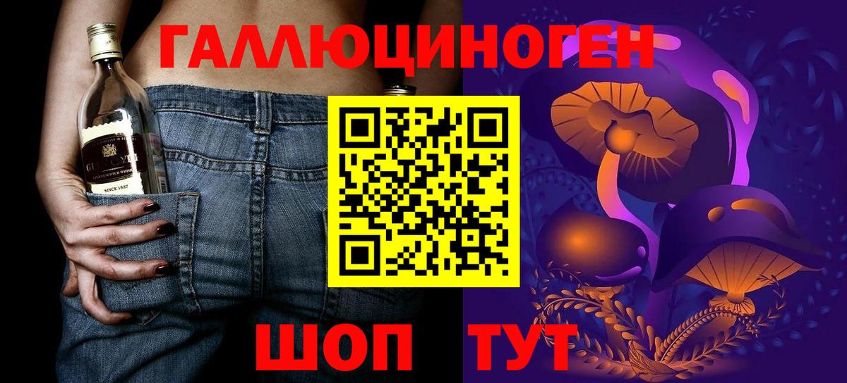 Галлюциногенные грибы Psilocybe Буйнакск