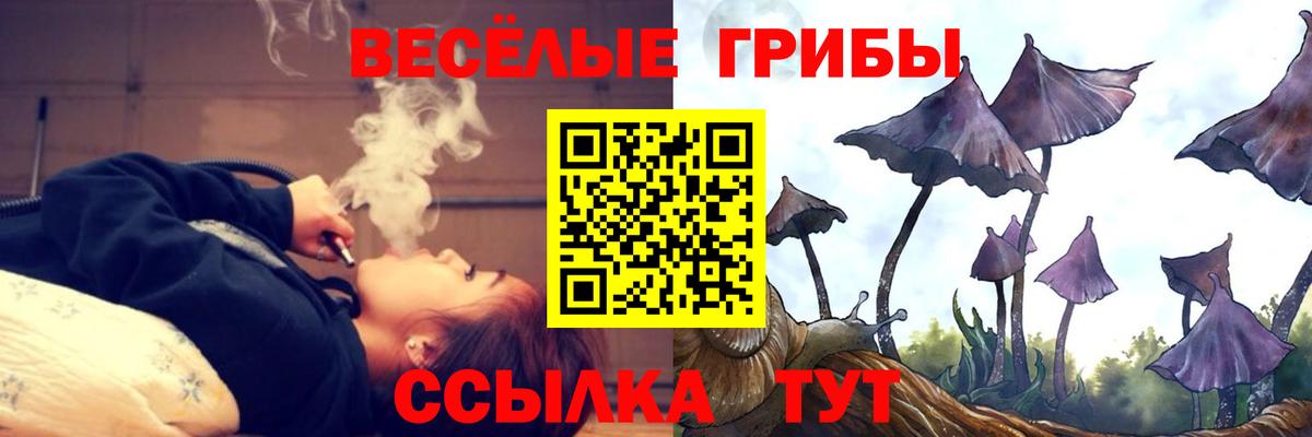 Галлюциногенные грибы MAGIC MUSHROOMS  Вход с VPN  Псилоцибиновые грибы MAGIC MUSHROOMS  Буйнакск 